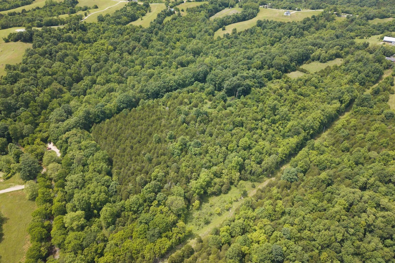 12.2 Acres of Land for Sale in Corinth, KY - Corinth, Kentucky, 41010