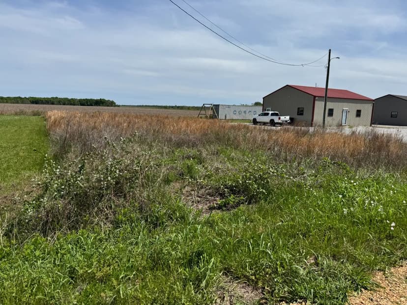 0.29 Acre ( Lot 11) in Tensas Parish, LA 