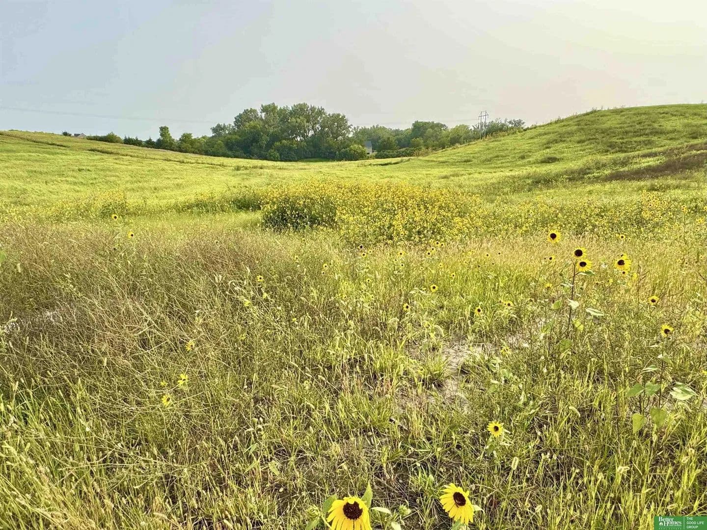 Lots & Land-Other in Gretna - Gretna, Nebraska, 68028
