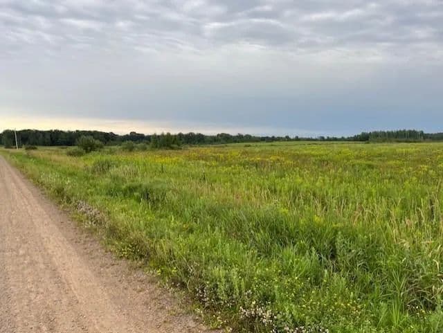 Vacant Land in Whited Twp