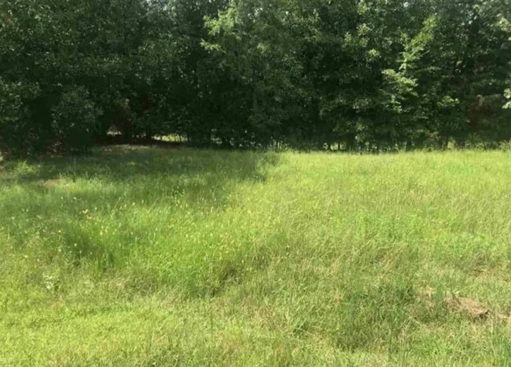 Vacant Land in Greenwood - Greenwood, South Carolina, 29649
