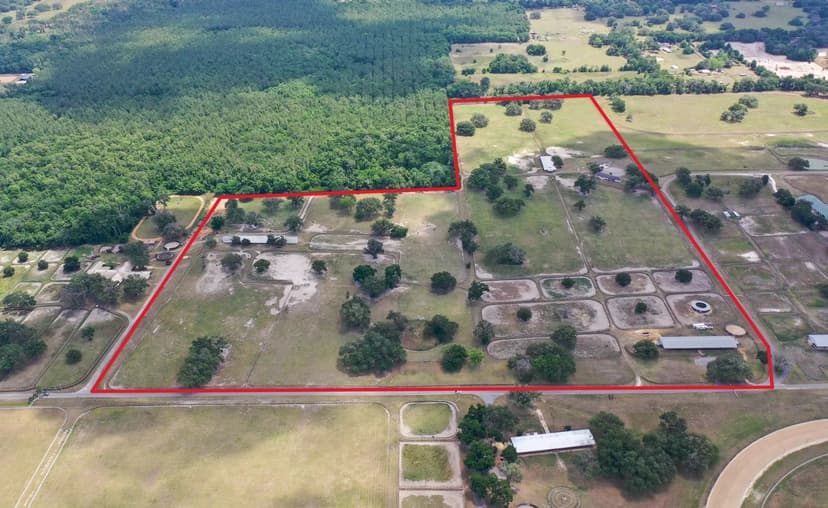 Historic Hooper/Queen Thoroughbred Horse Farm Auction