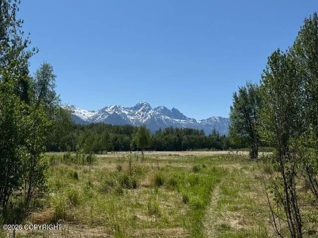 Vacant Land in Palmer - Palmer, Alaska, 99645