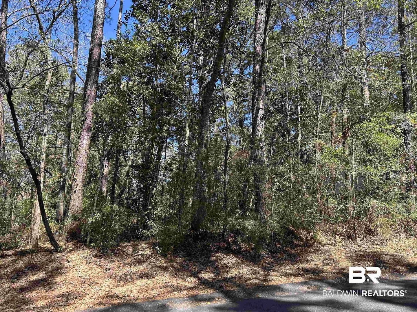 Lots & Land-Other in Daphne - Daphne, Alabama, 36526