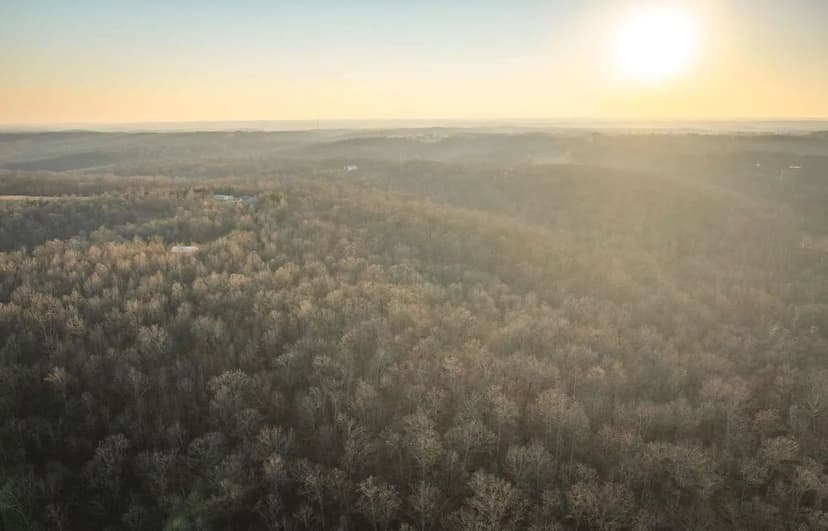 Burfordville Timber Tract