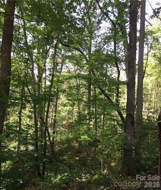 0.89 Acres of Land for Sale in Lake Lure, NC - Lake Lure, North Carolina, 28746