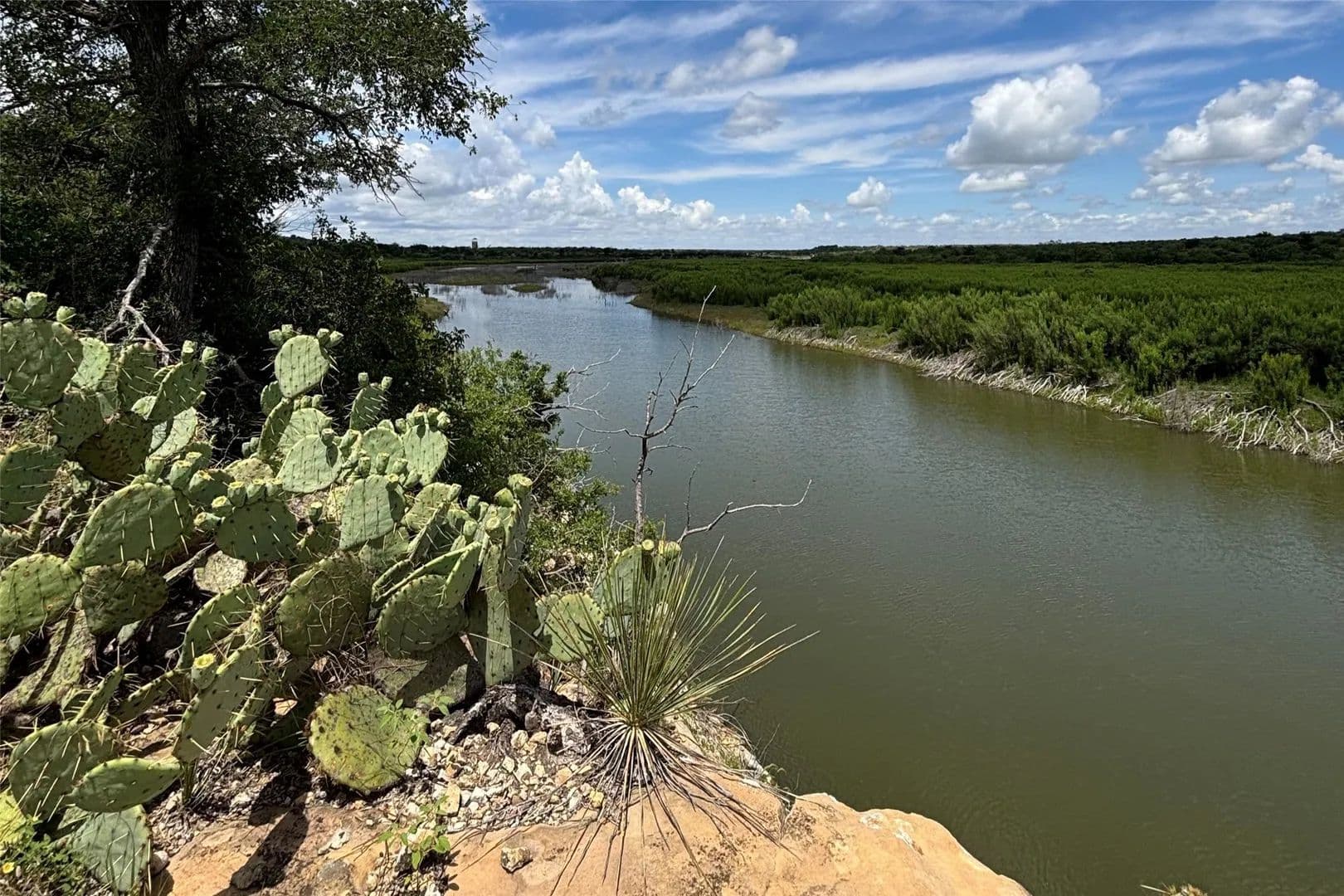 353 Acres of Land for Sale in Voss, Texas - Voss, Texas, 76888