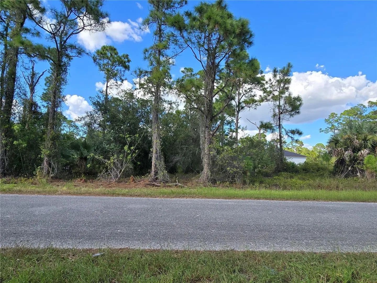 Lots & Land-Other in LEHIGH ACRES - Lehigh Acres, Florida, 33974