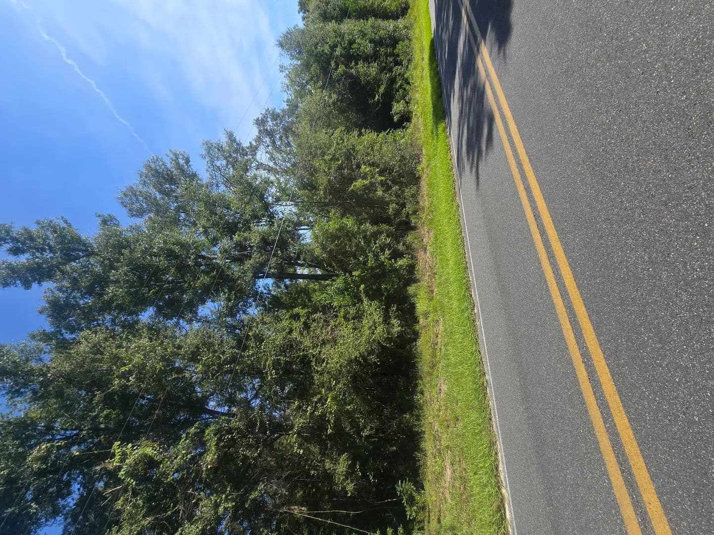 Land -Single Family Acreage in Lake City - Lake City, Florida, 32024
