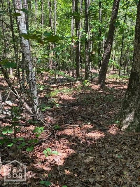 Lots & Land-Other in Hot Springs Vil - Arkansas, 71909