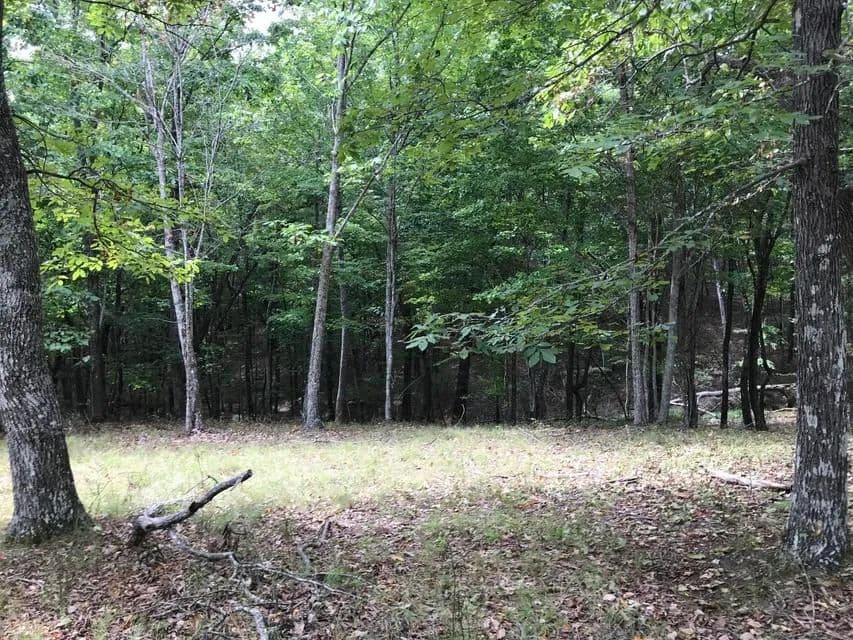 Land -Agricultural (Not Zoned) in Dunlap - Dunlap, Tennessee, 37327