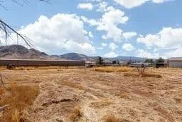 Land -Single Family Acreage in Sigurd