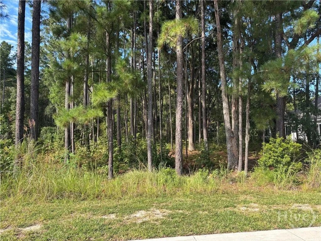 Lots & Land-Other in Pooler - Pooler, Georgia, 31322
