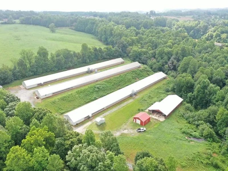 NEW PRICE – Wing Breeder Farm – Three House Breeder Farm - Catawba Co, NC - Vale, North Carolina, 28168