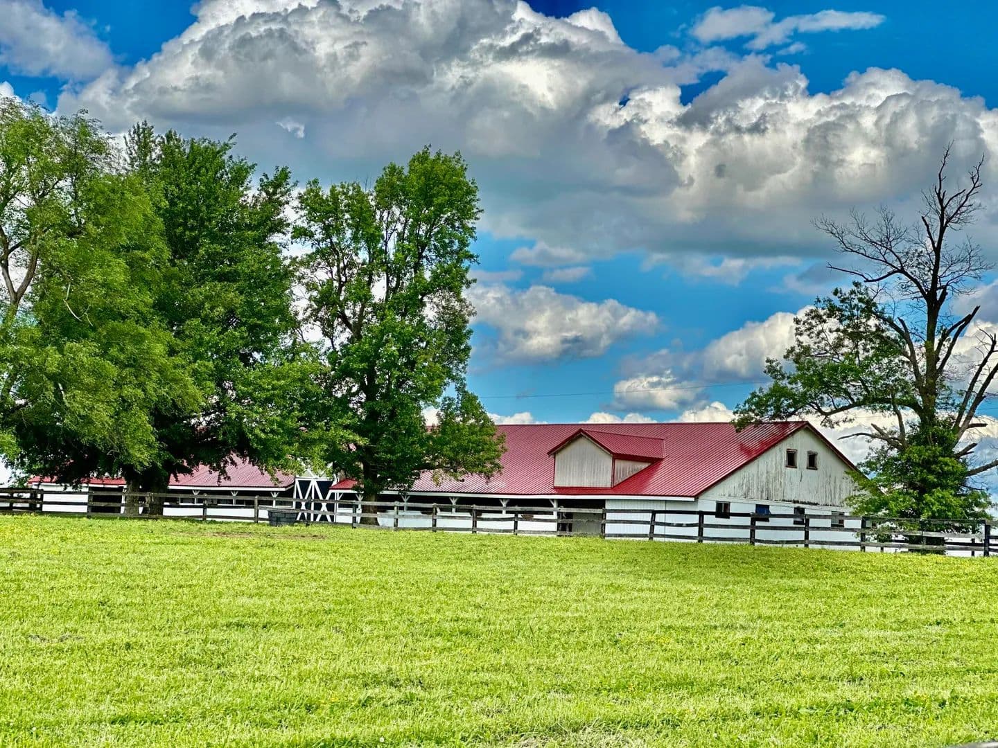 82 Acres of Land for Sale in Georgetown, KY - Georgetown, Kentucky, 40324