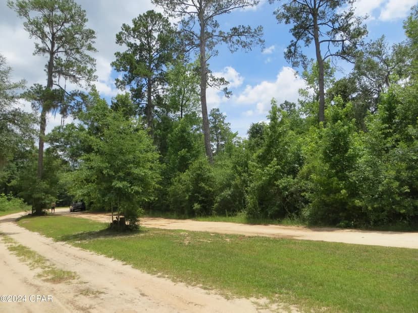 Vacant Land in Chipley