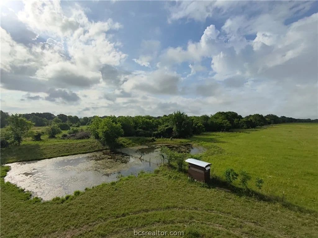 106.69 Acres of Land for Sale in Navasota, Texas - land for sale