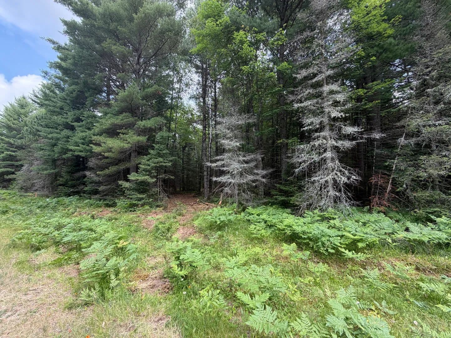 Vacant Land (0-10 Acres) in Eagle River - Eagle River, Wisconsin, 54521