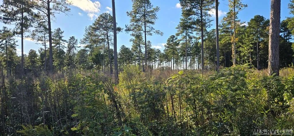 Vacant Land in Lawrenceville - Lawrenceville, Virginia, 23868