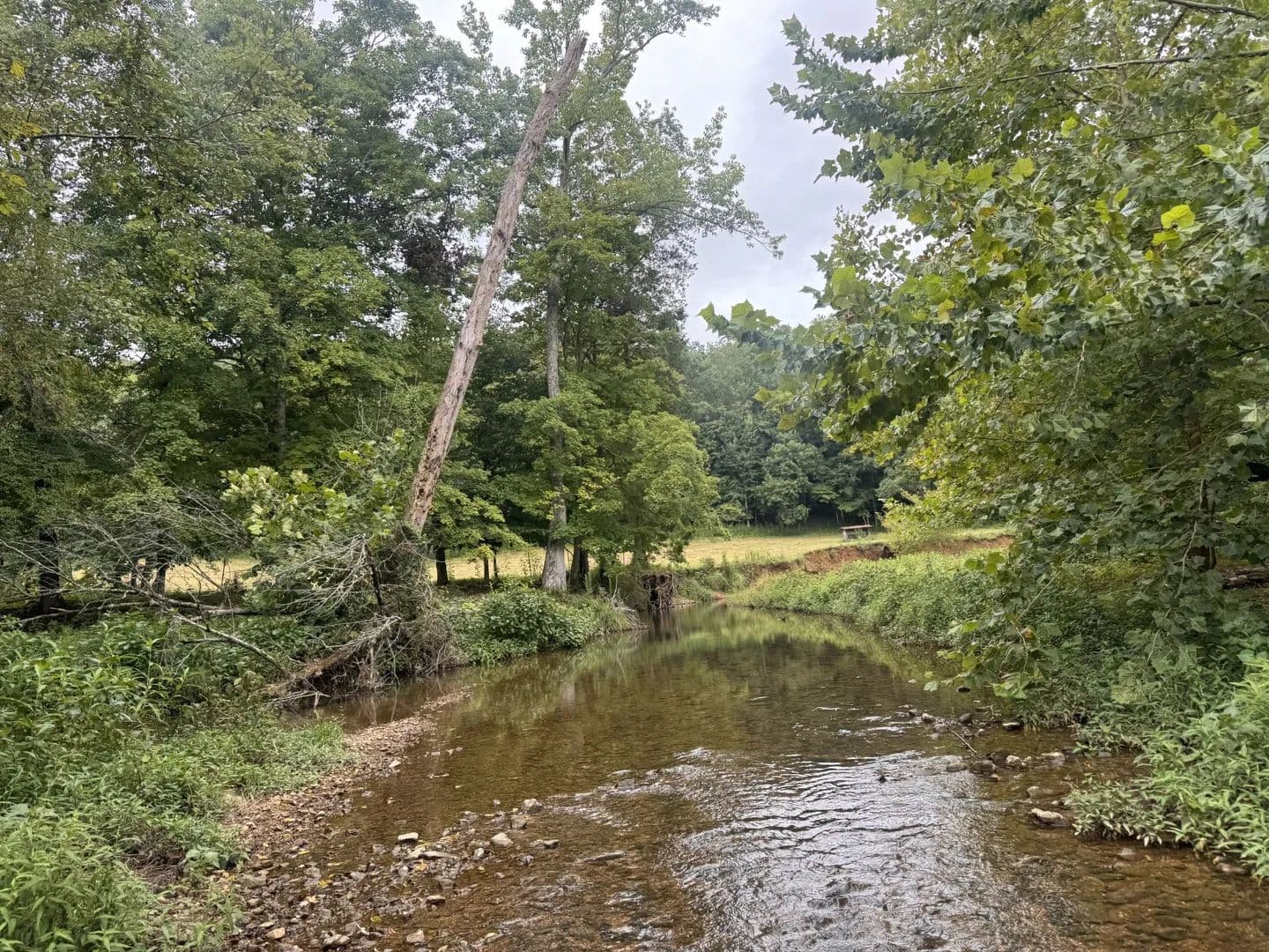 Vacant Land in Dover - Dover, Tennessee, 37058