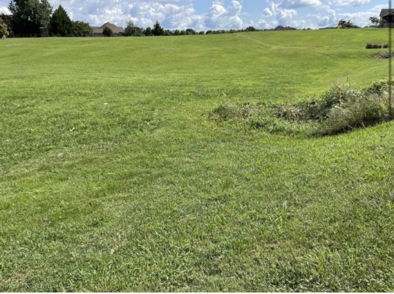 Vacant Land in Hillsboro - Hillsboro, Tennessee, 37342