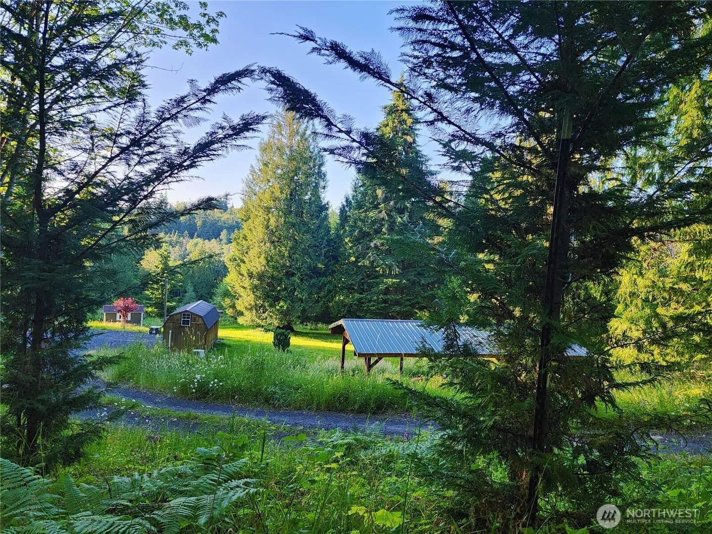 Land -Single Family Acreage in Winlock - land for sale