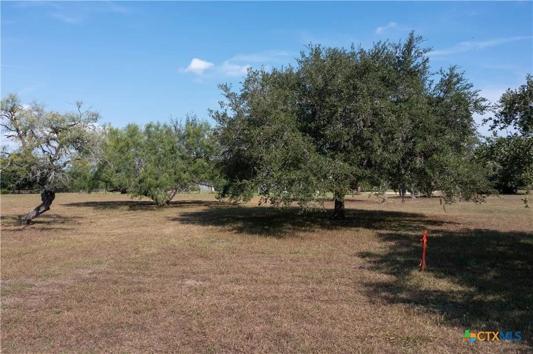 Vacant Land in Goliad - Goliad, Texas, 77963