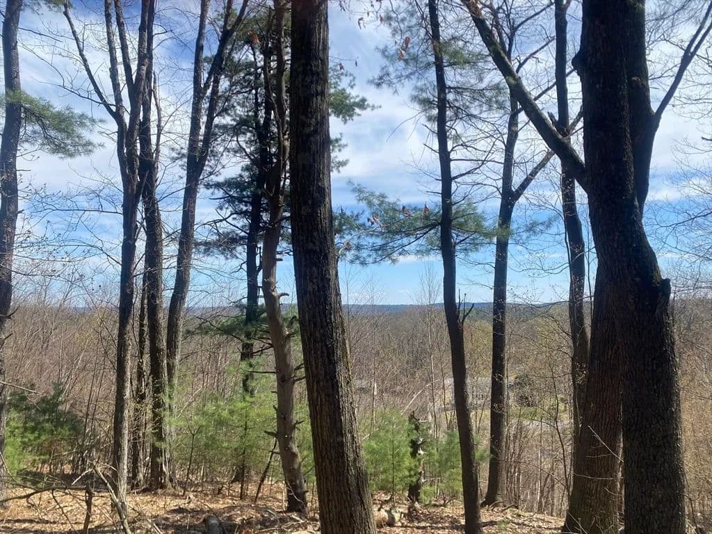 Vacant Land in Westminster - Westminster, Massachusetts, 01473