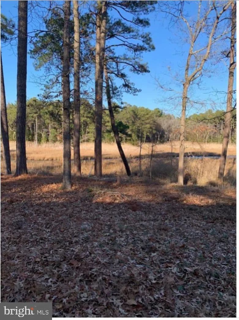 Vacant Land in Rehoboth Beach