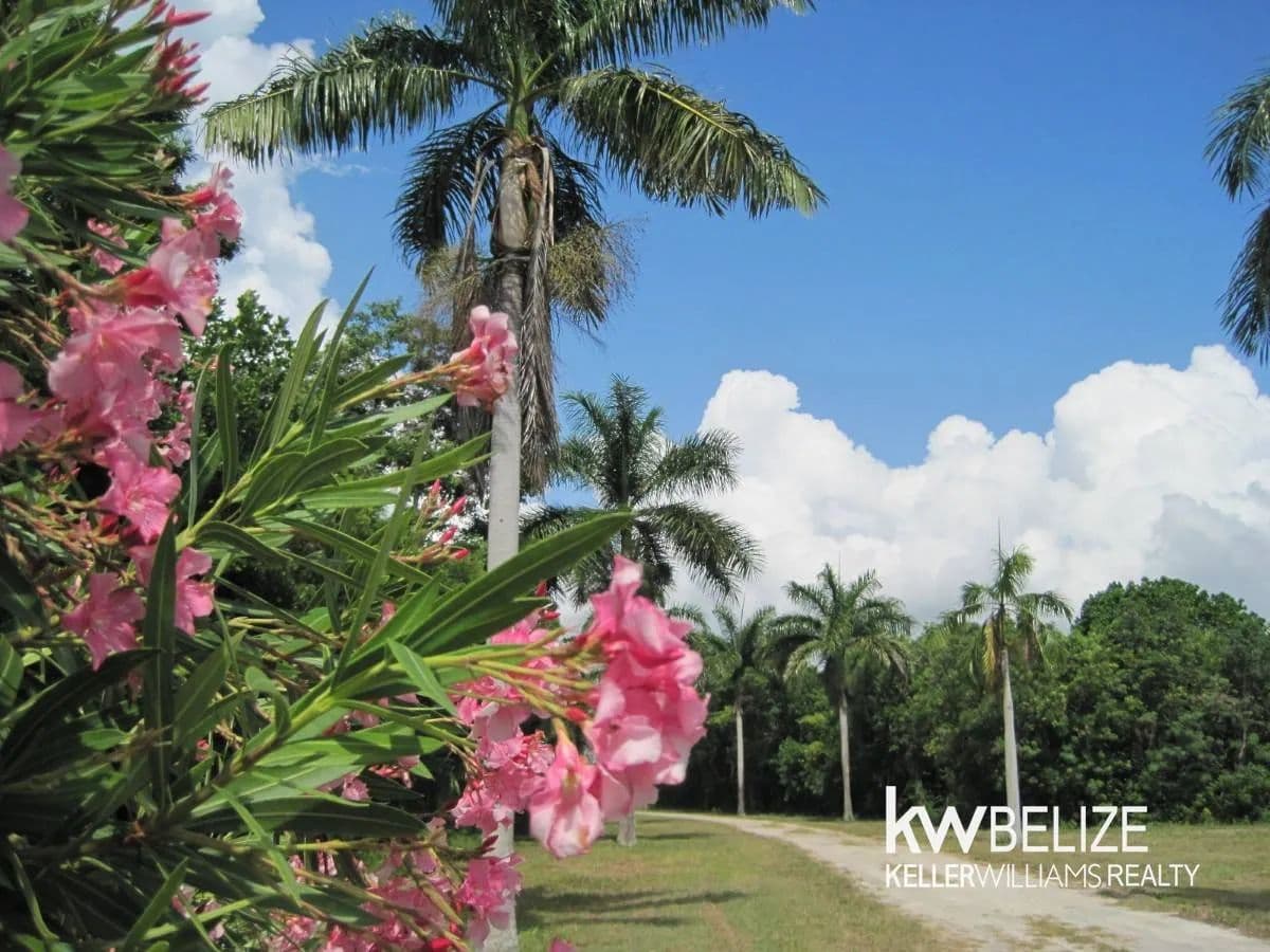 Corozal Belize Waterfront Development Opportunity - land for sale