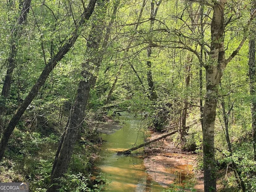 Lots & Land-Other in Forsyth