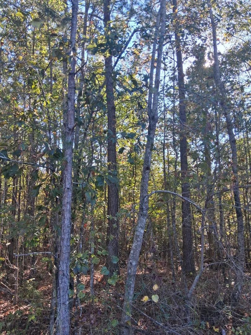 8+ acres land tract - Wadley, Alabama, 36276