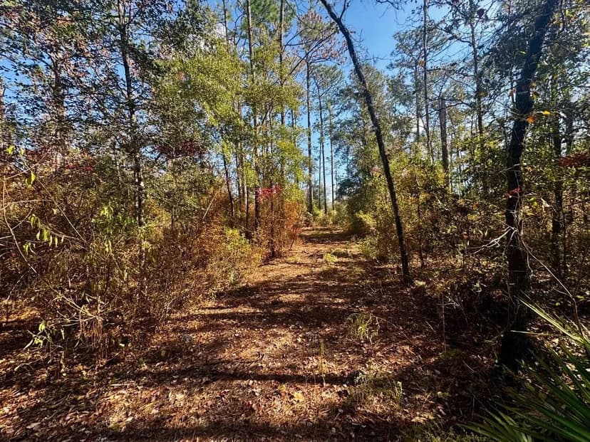 Timber River Loop 1 Acre Lot