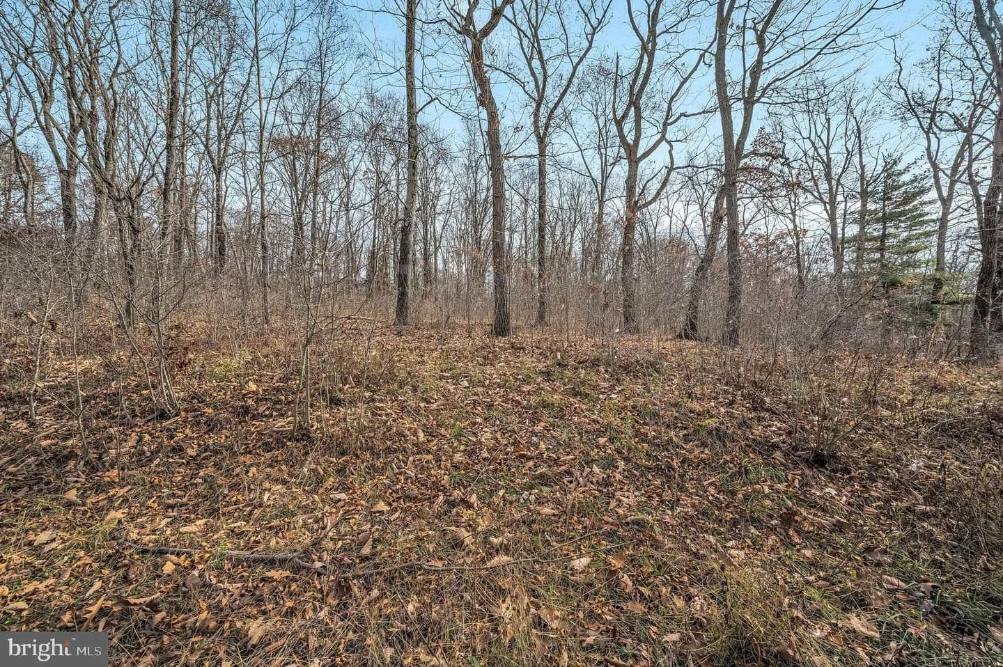 Vacant Land in Pittston - Pittston, Pennsylvania, 18640