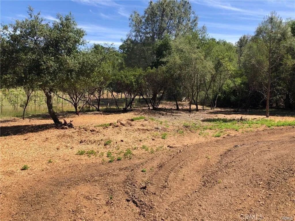 Vacant Land (0-10 Acres) in Kelseyville - Kelseyville, California, 95451