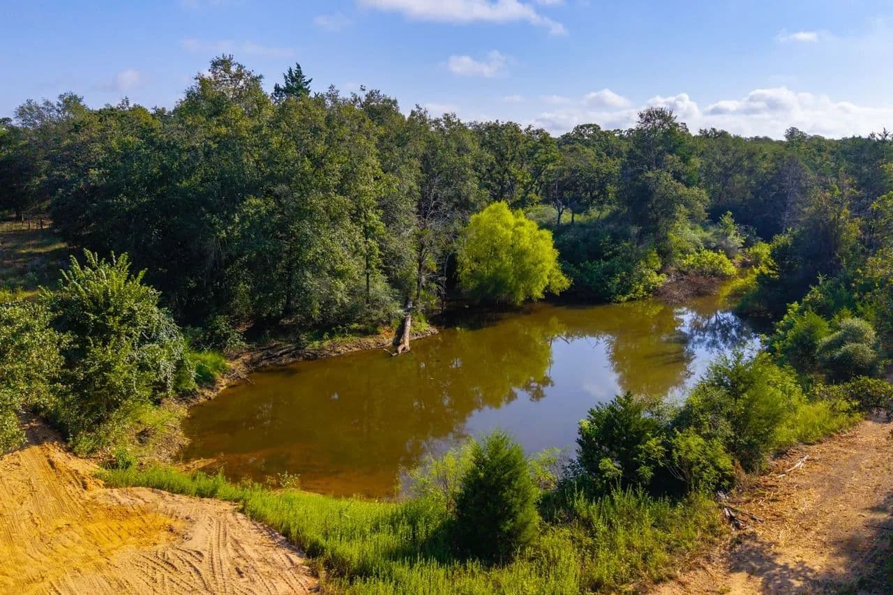 Forest Hideaway - Lexington, Texas, 78947
