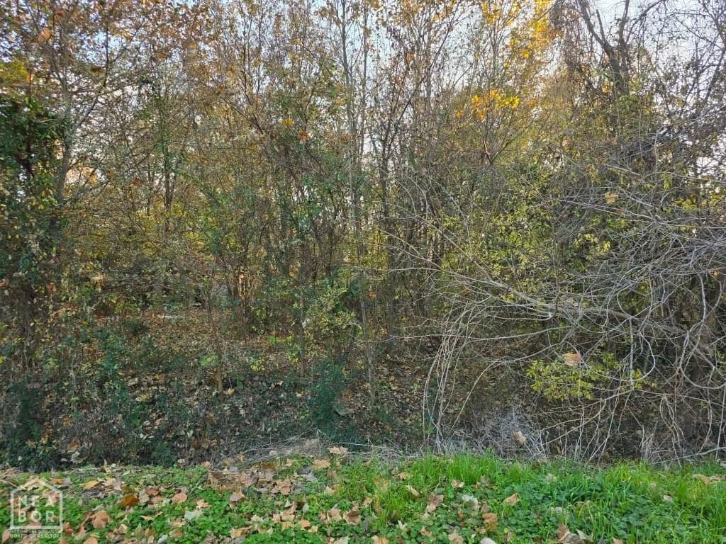 Property from 103 Languille Avenue - KW - Wynne, Arkansas, 72396