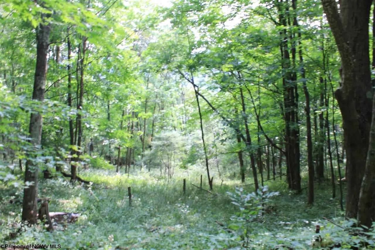 Lots & Land-Other in Harman - Harman, West Virginia, 26270