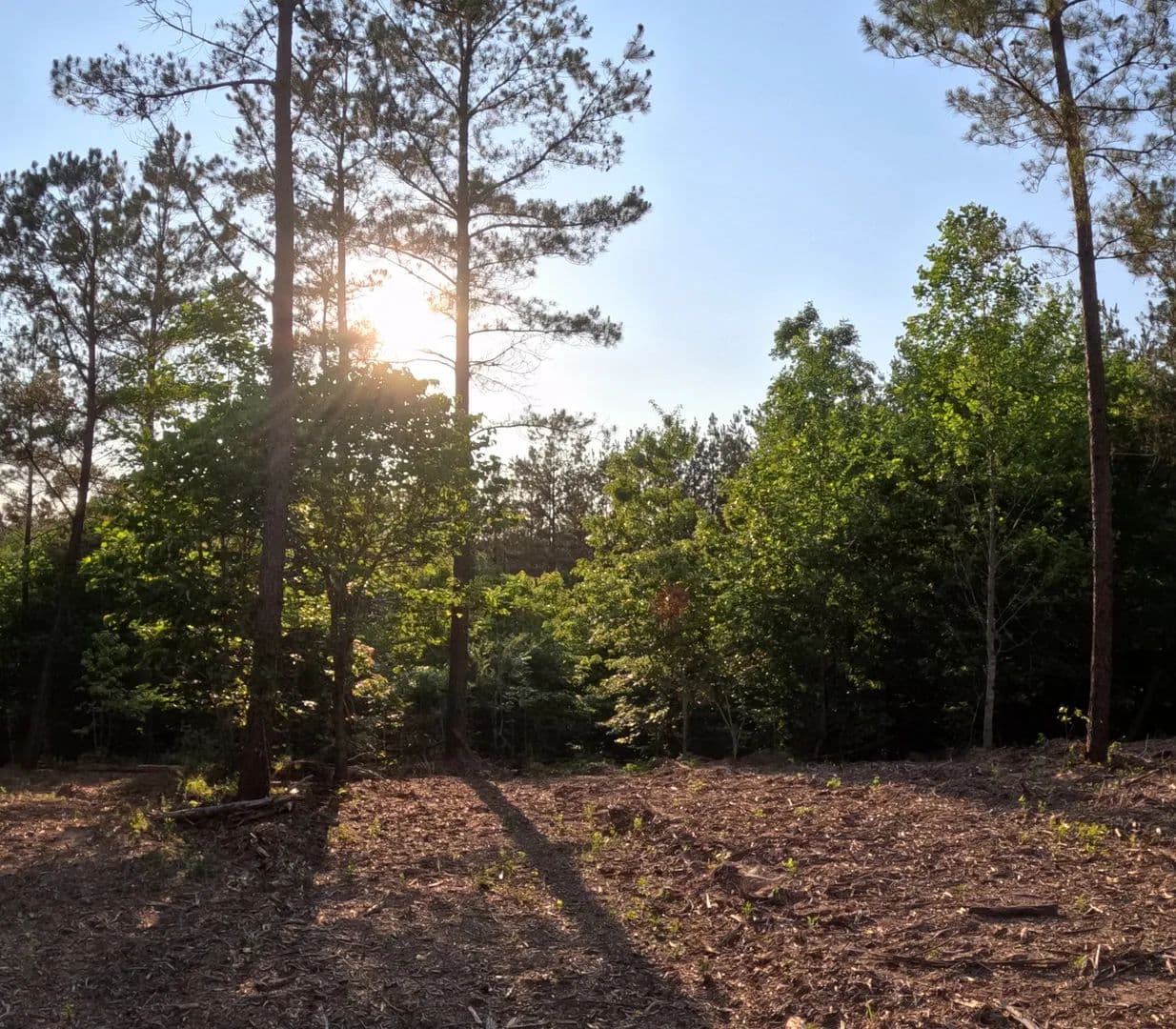 30 Acres of Land for Sale in Linden, TN - Linden, Tennessee, 37096
