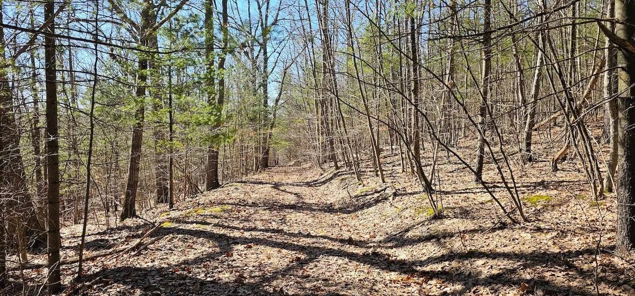 46 acres Secluded Wooded Hunting Land and Recreational Land in Van Etten NY South Hill Rd - Van Etten, New York, 14889
