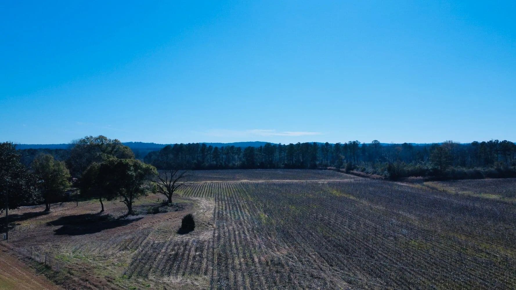 Homesite & Mini Farm on County Road 223 - New Brockton, Alabama, 36351