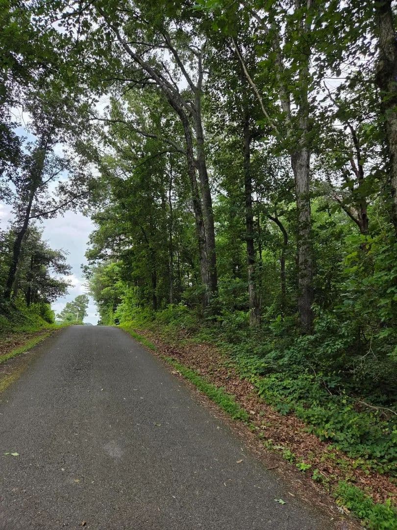 Vacant Land in Riceville - Riceville, Tennessee, 37370