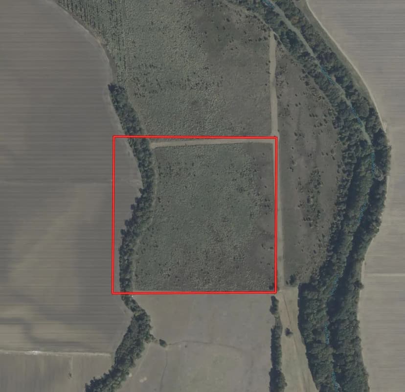 38 Acres in West Carroll Parish, LA