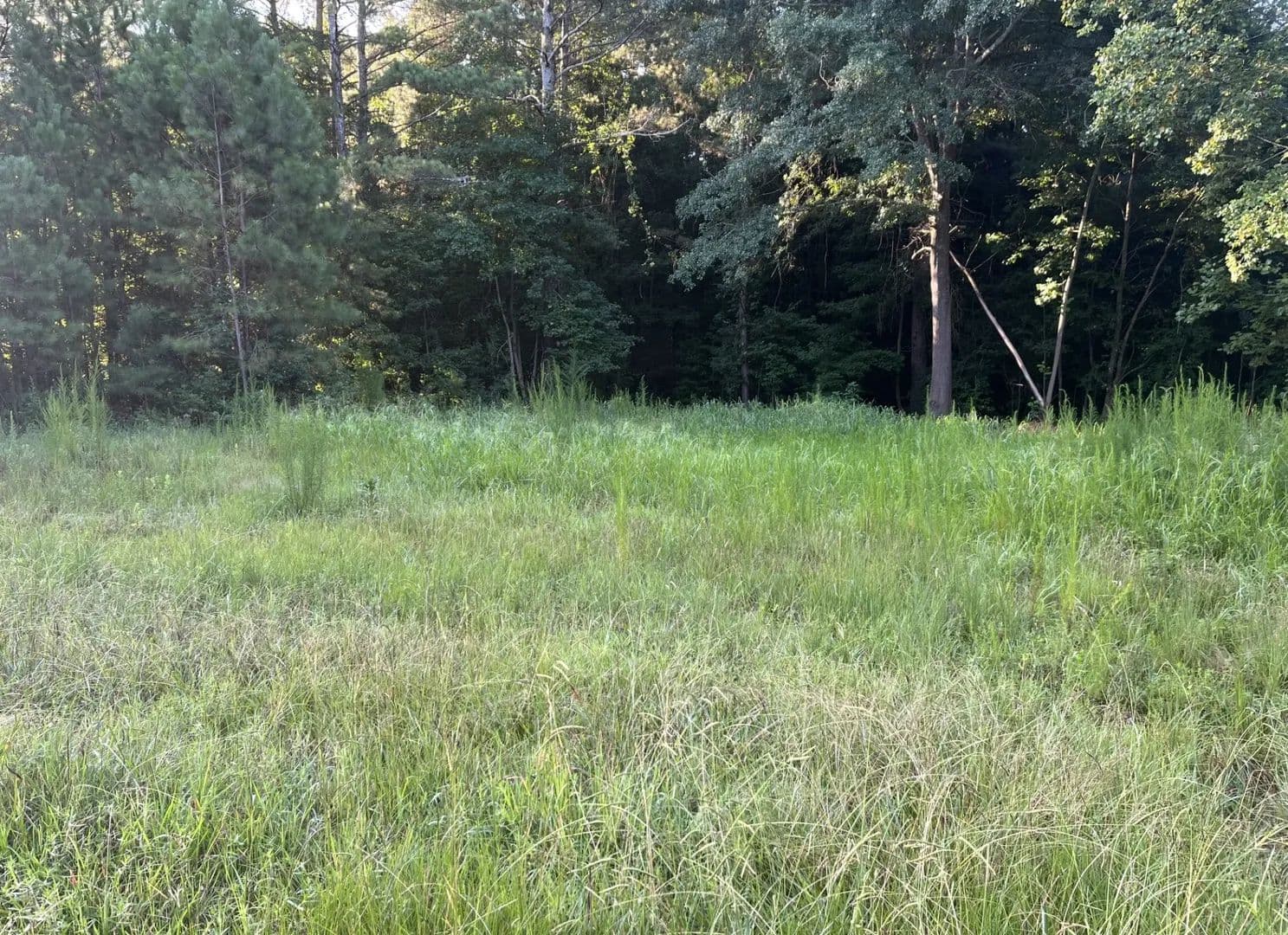 Vacant Land in Hartwell - Hartwell, Georgia, 30643