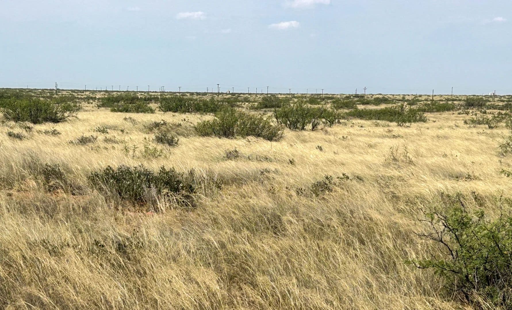 DASCO Cattle Company, LLC Ranch - Eunice, New Mexico, 88231