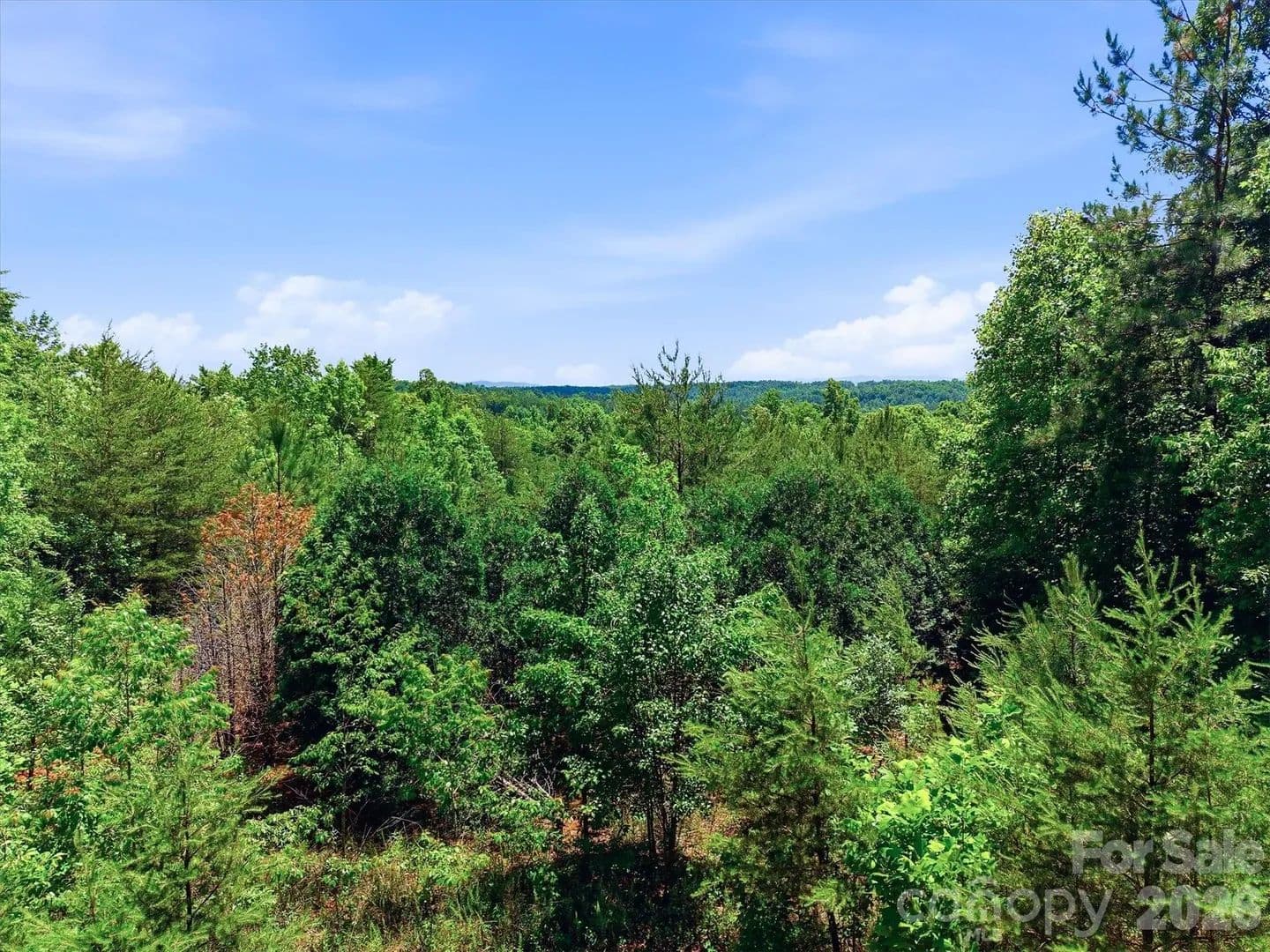 2.53 Acres of Land for Sale in Lenoir, NC - Lenoir, North Carolina, 28645
