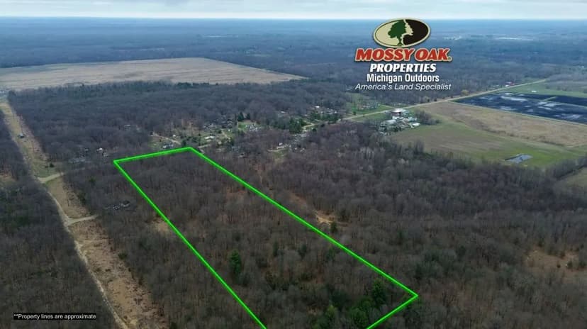 20 Acres V/L 58th Street Pullman MI 49450