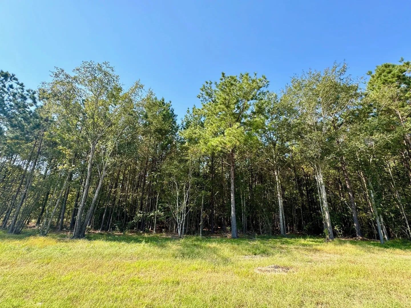 1.27 Acres of Land for Sale in Livingston, TX - Livingston, Texas, 77351