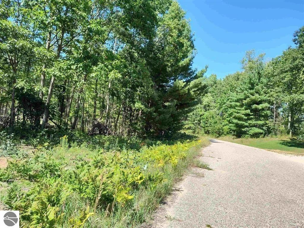Vacant Land in Farwell - Farwell, Michigan, 48622