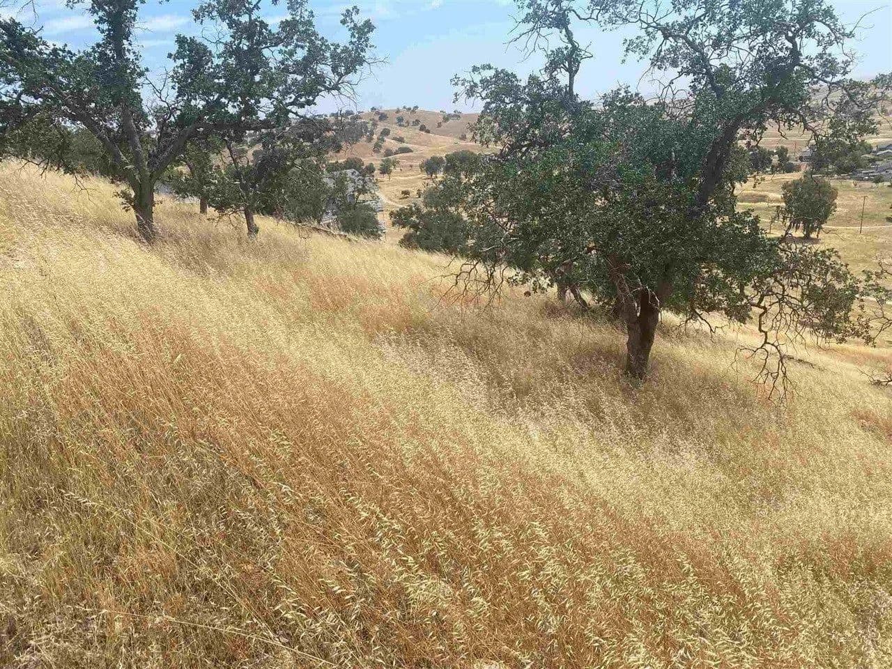 Lots & Land-Other in La Grange - La Grange, California, 95329